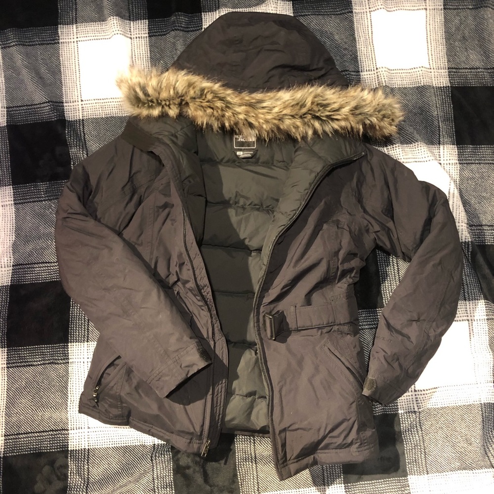 North Face Greenland Down Jacket